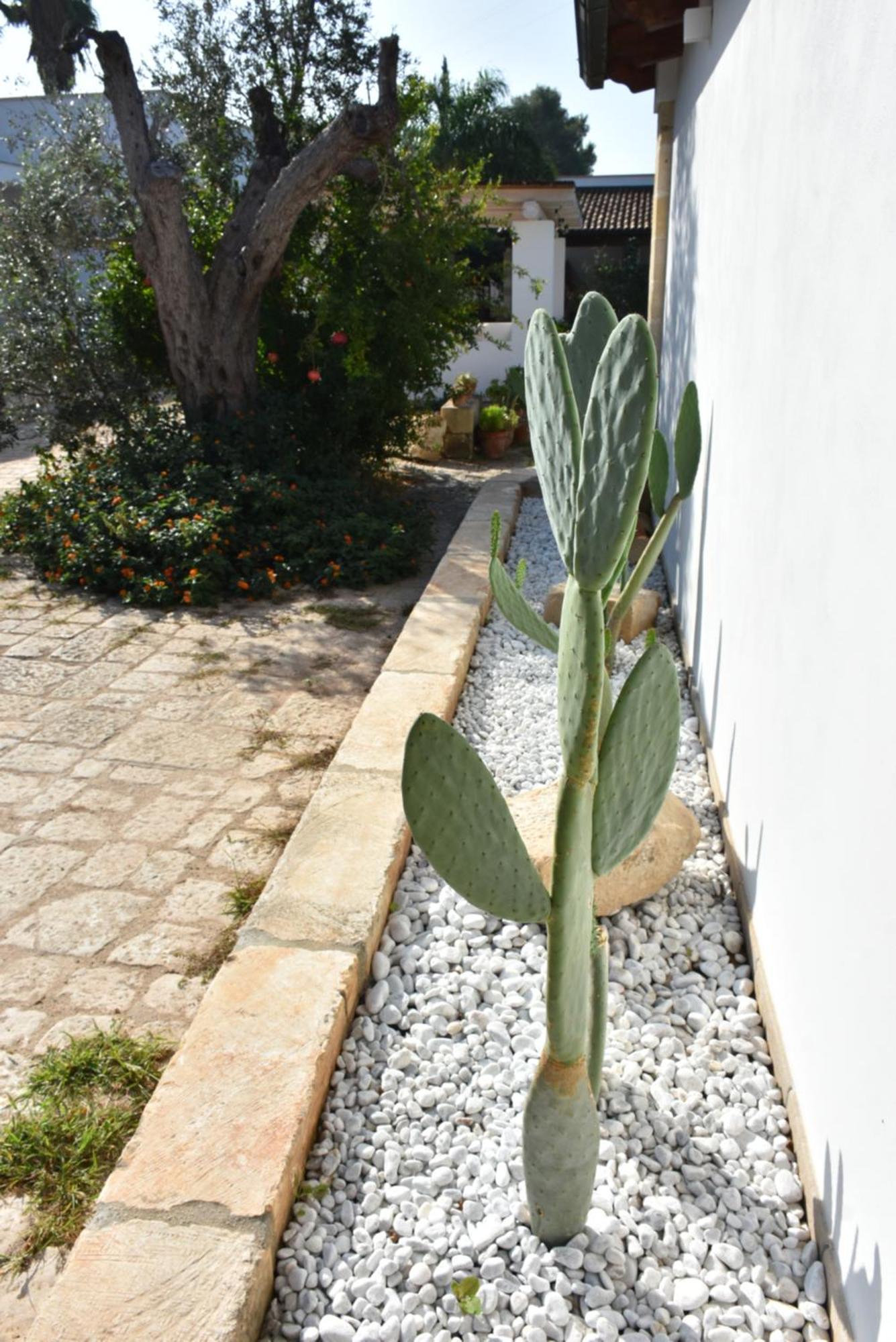 Masseria Tenuta Flora Maria Leverano Exteriér fotografie